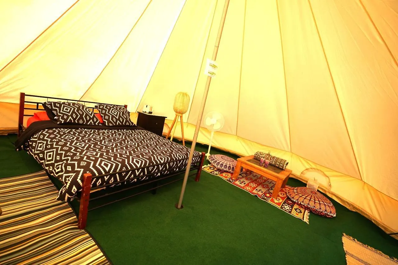 Camping Arbre De Vie Montagnac  France